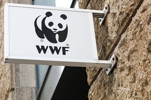 Logo-Design-for-Good-Shaping-a-Better-Future-through-Creative-Branding-in--WWf
